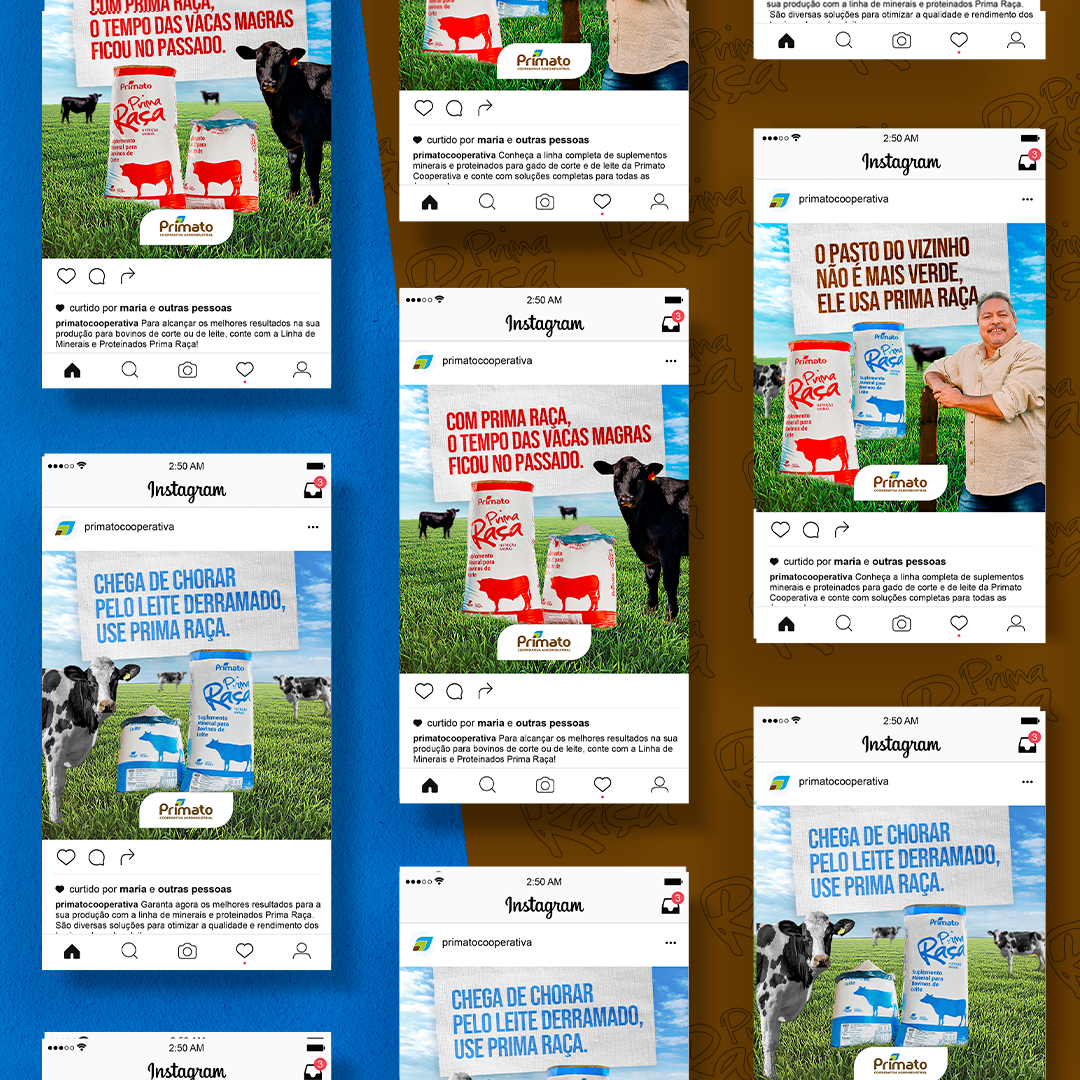 primato midias socias1-2022.png