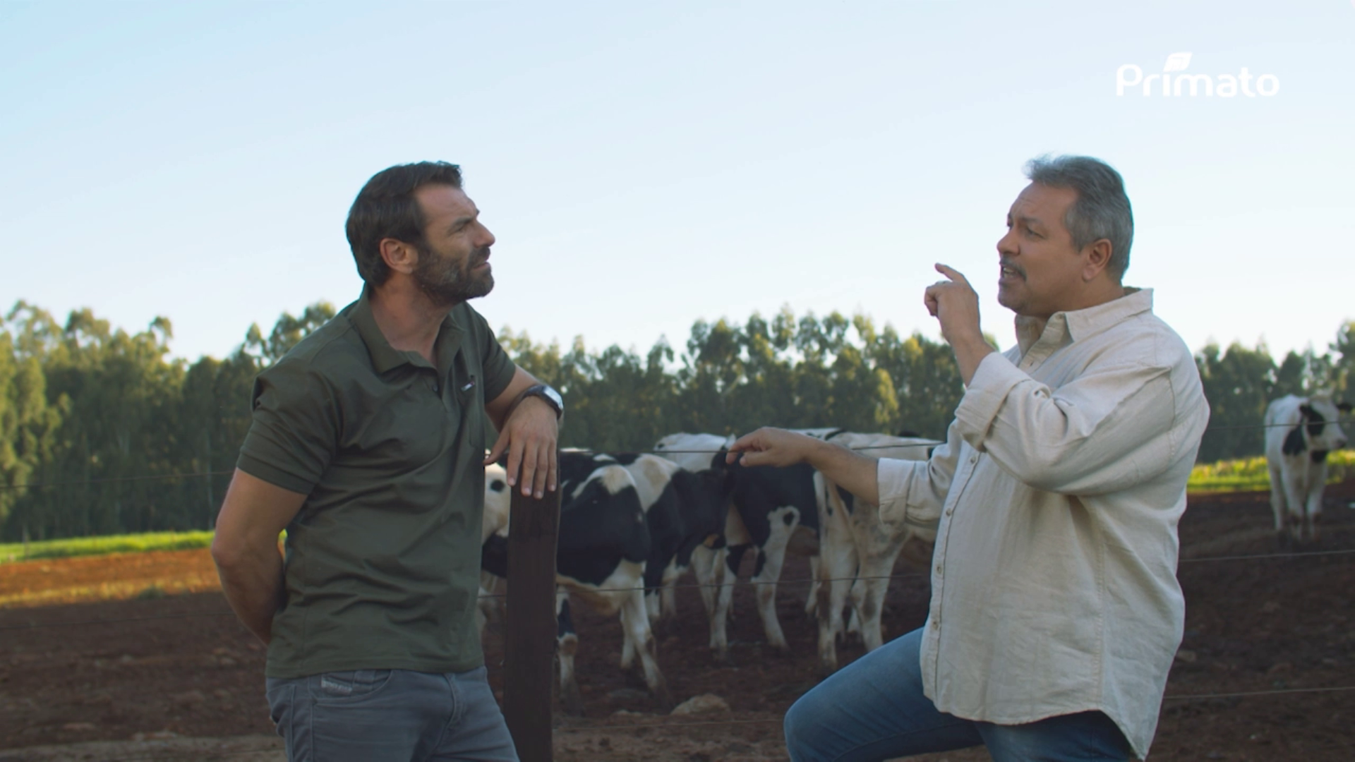 Imagem instantânea.png